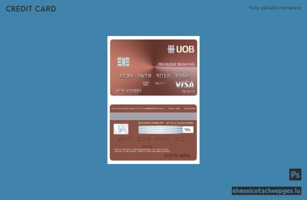 Beispielvorschau der UOB Bank Visa Debitkarte aus Indonesien